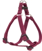 Harness - 1/2"W; 10-13" Girth